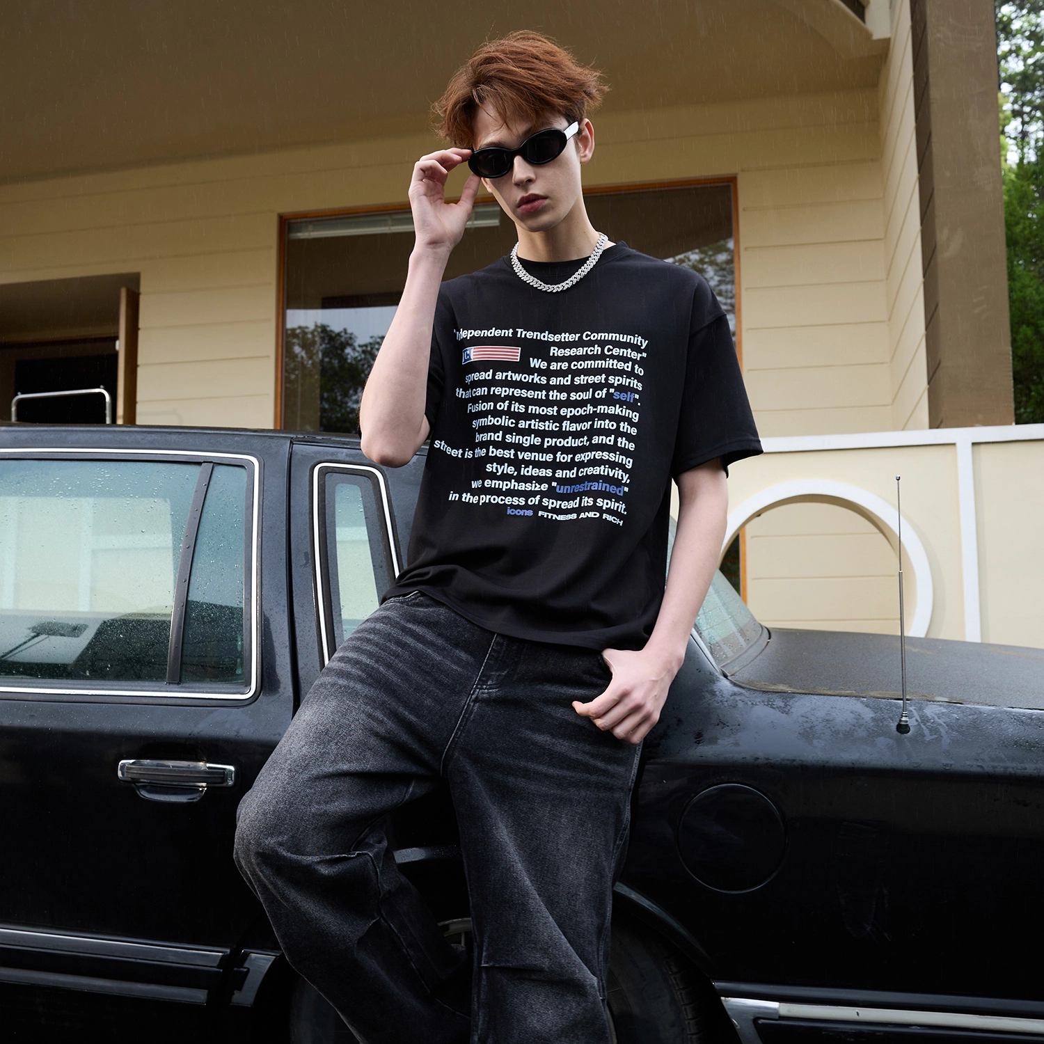 ICONS Lab T