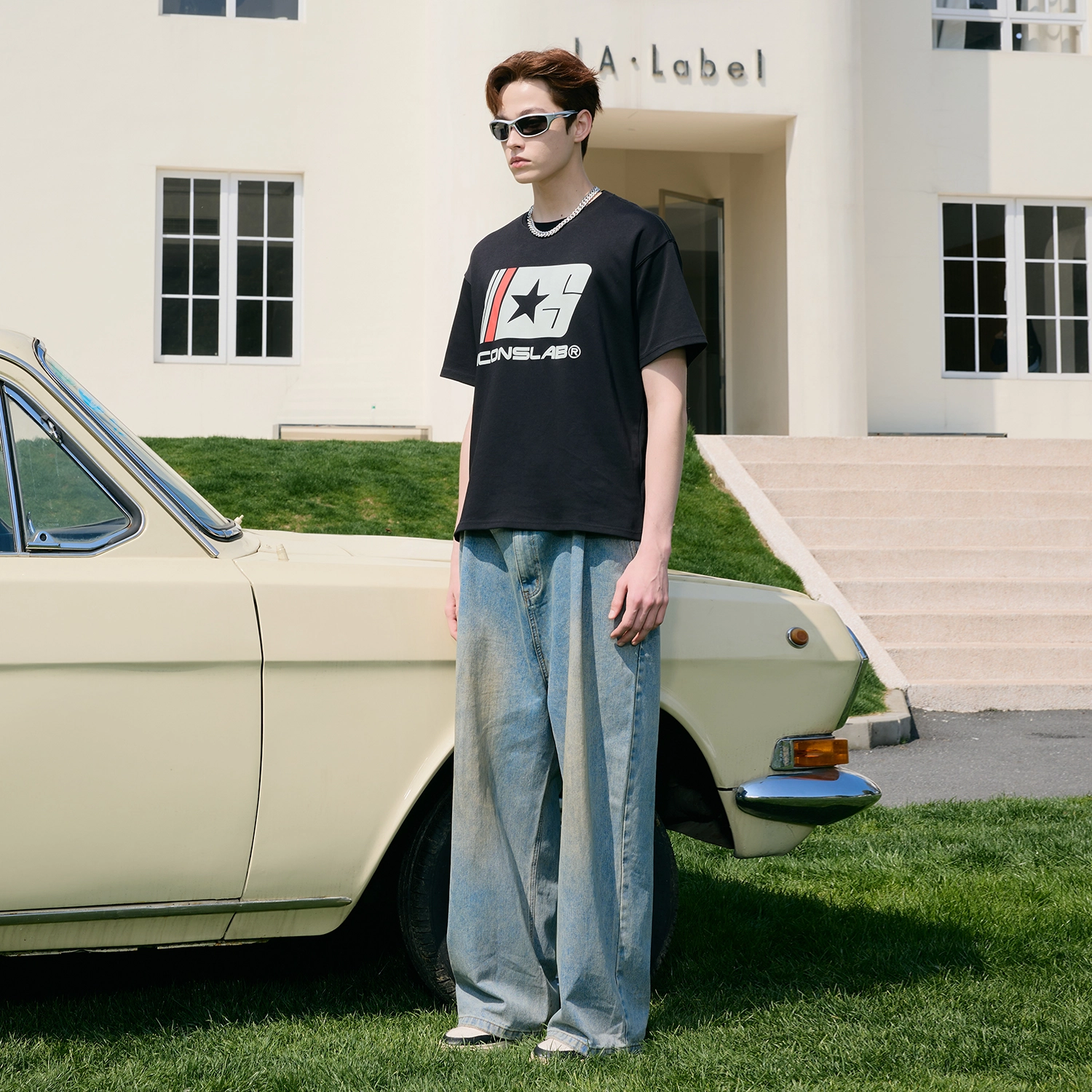 ICONS Lab T