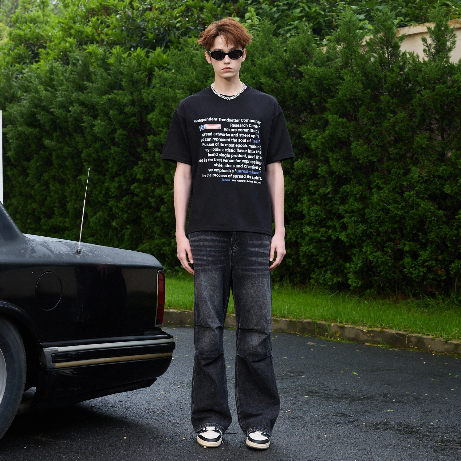 ICONS Lab T