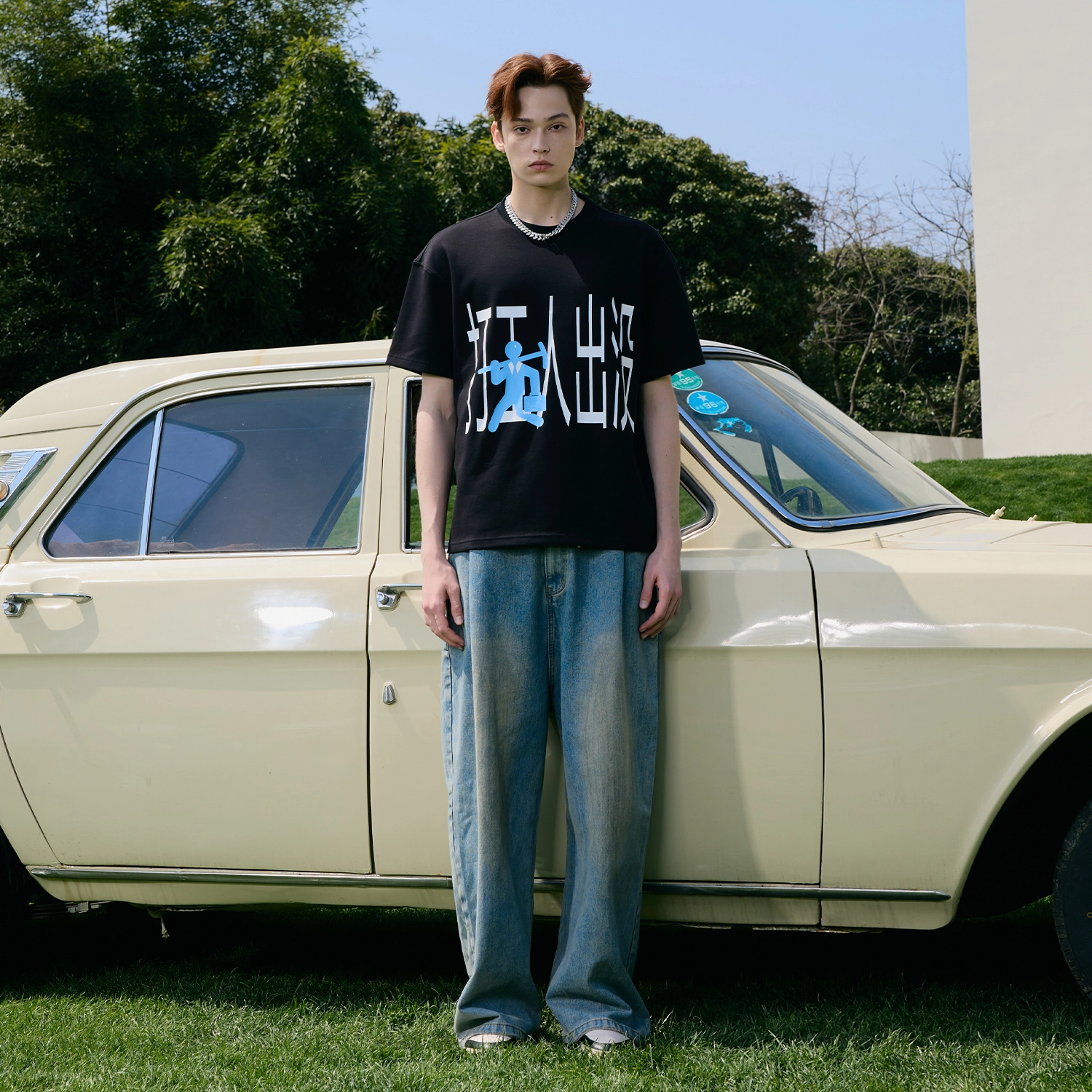 ICONS Lab T