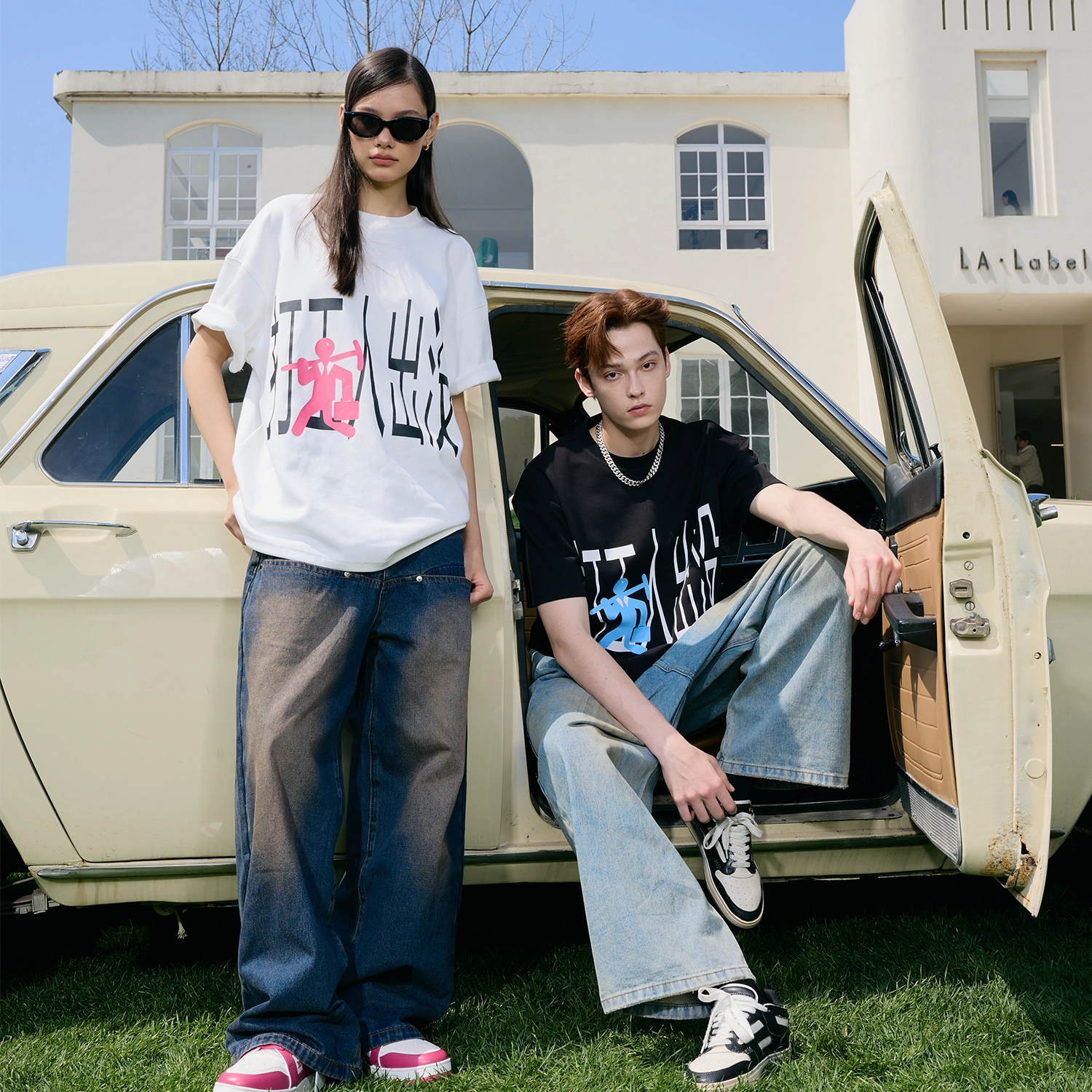 ICONS Lab T