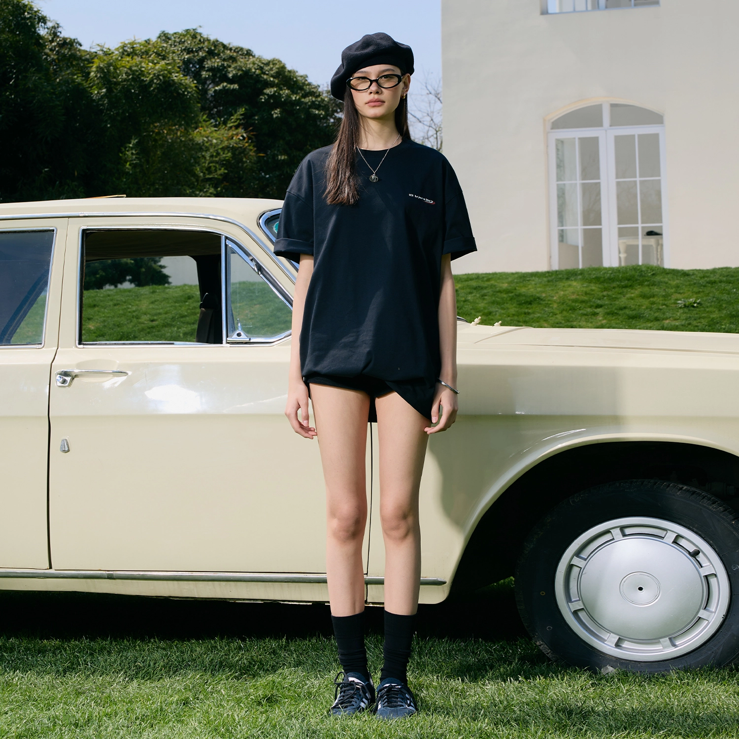 ICONS Lab T
