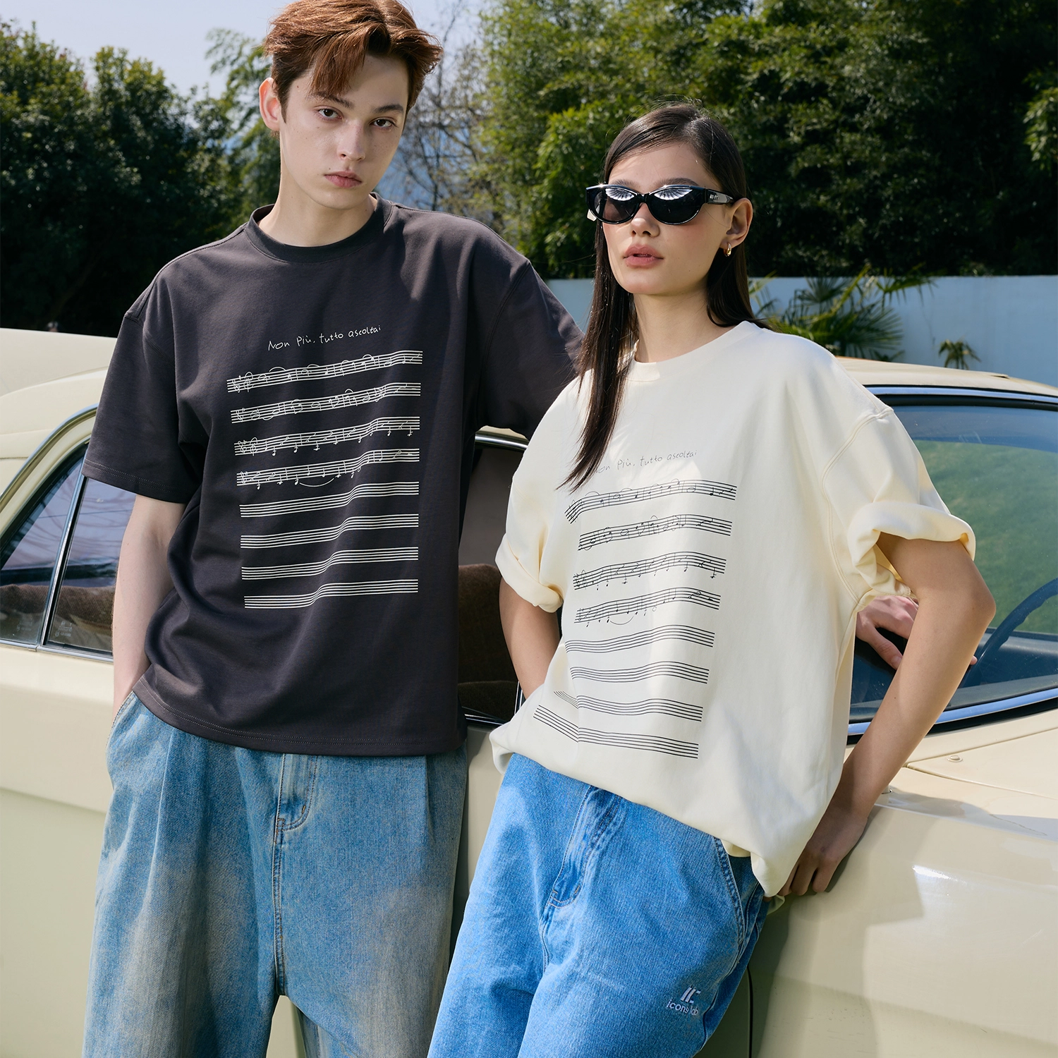 ICONS Lab T