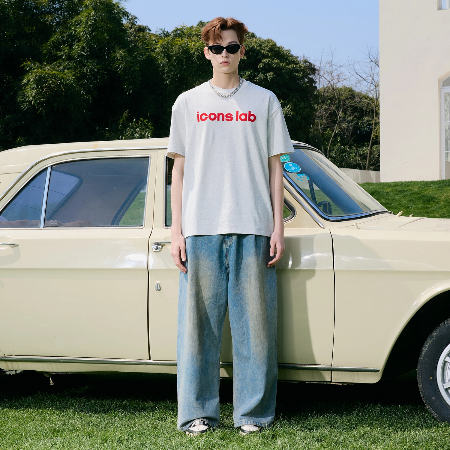 ICONS Lab T