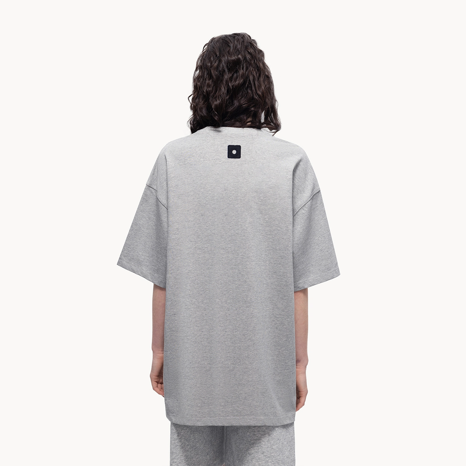 ICONS Lab LogoT