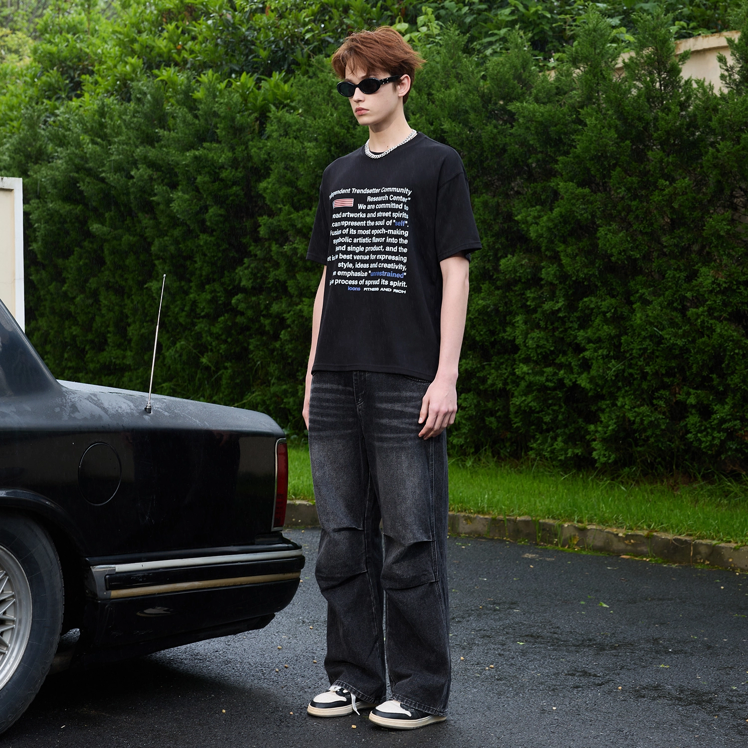 ICONS Lab T