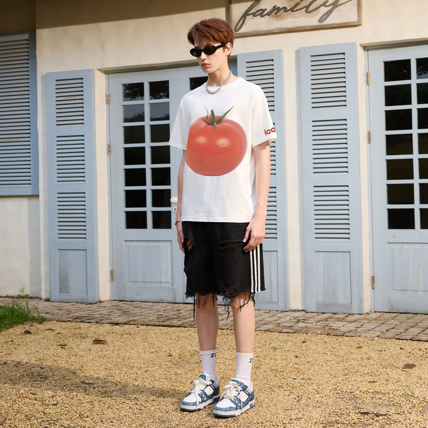 ICONS Lab T