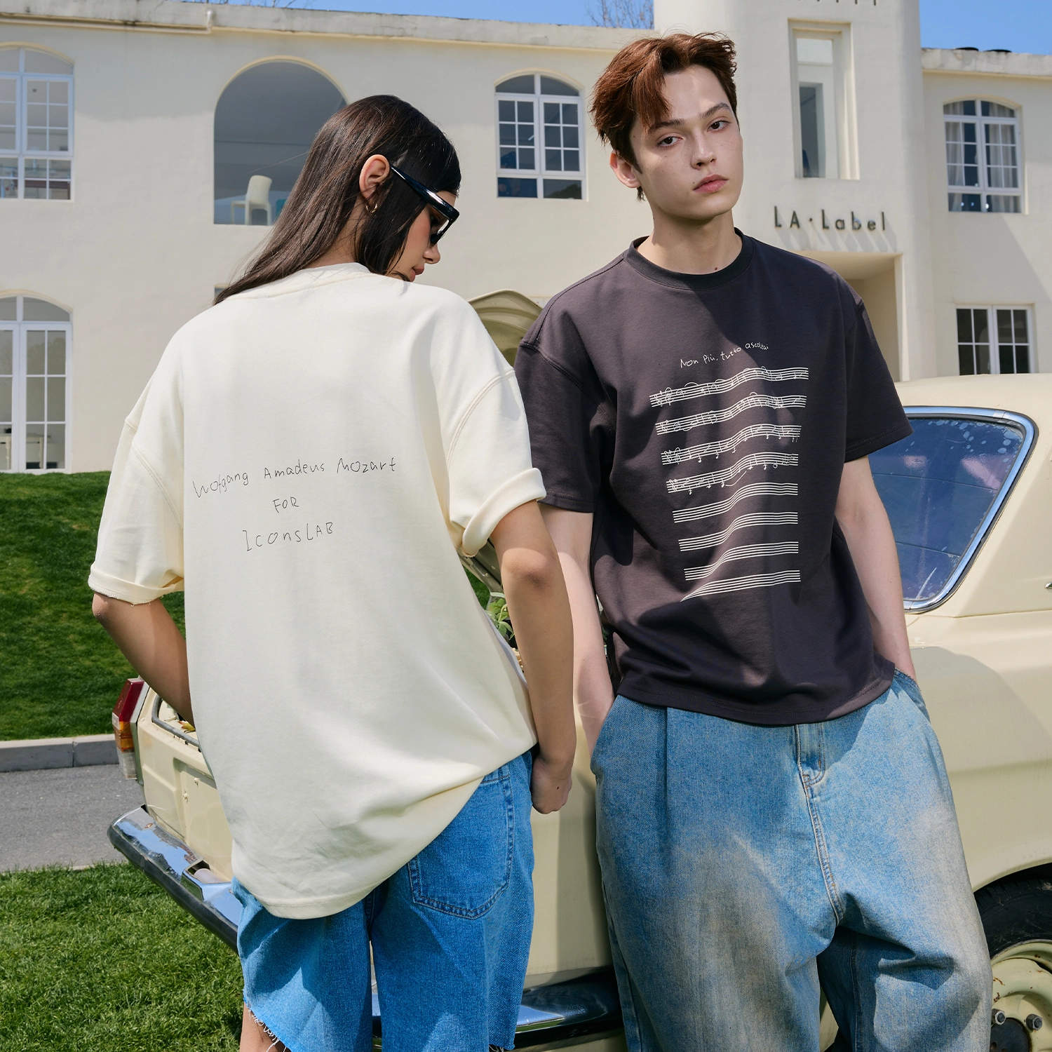 ICONS Lab T