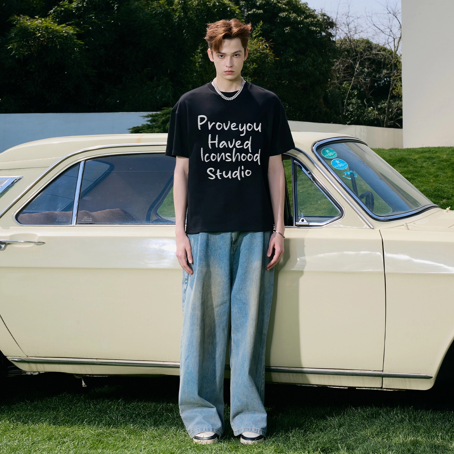 ICONS Lab T