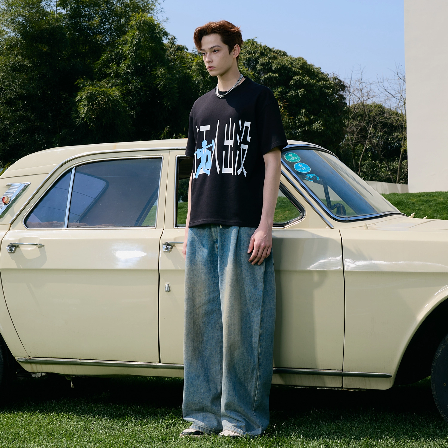 ICONS Lab T