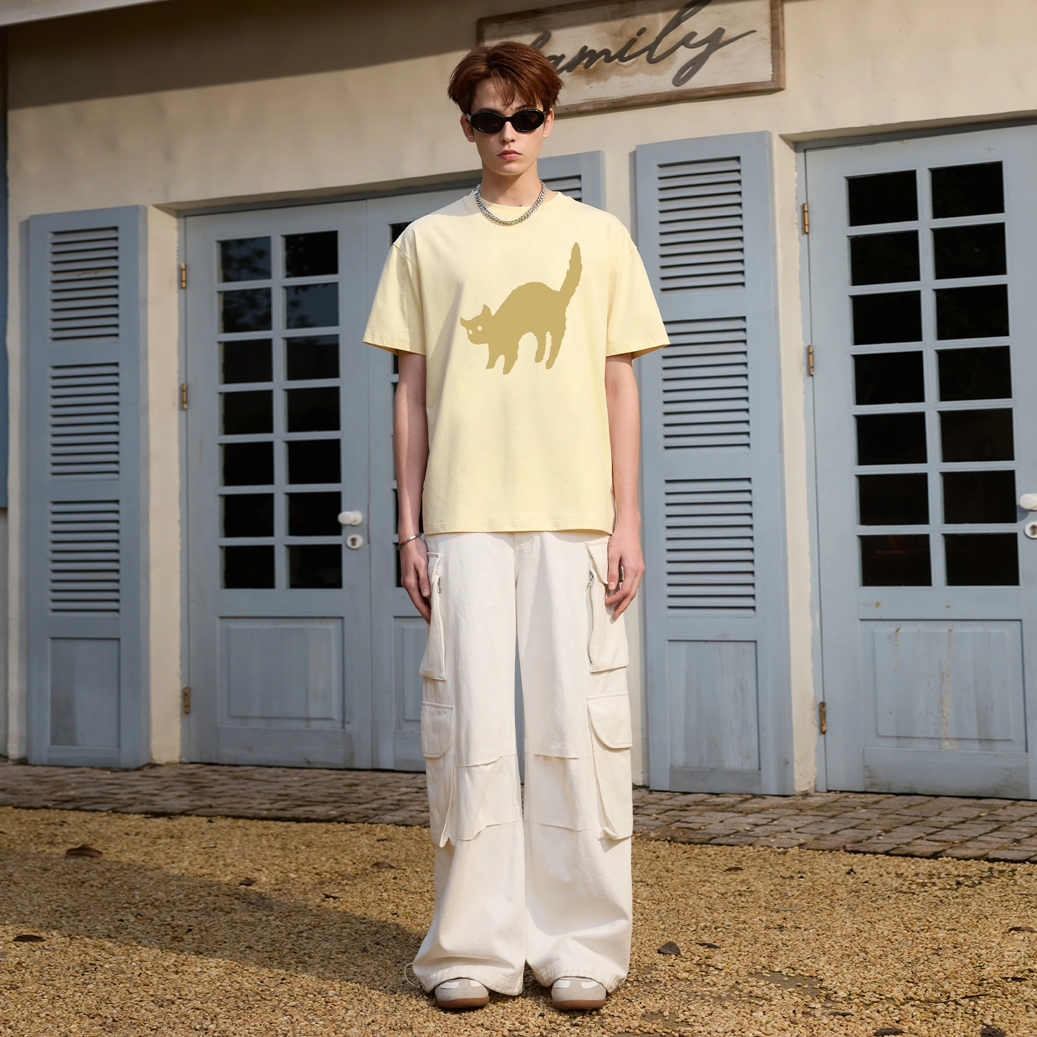ICONS Lab T