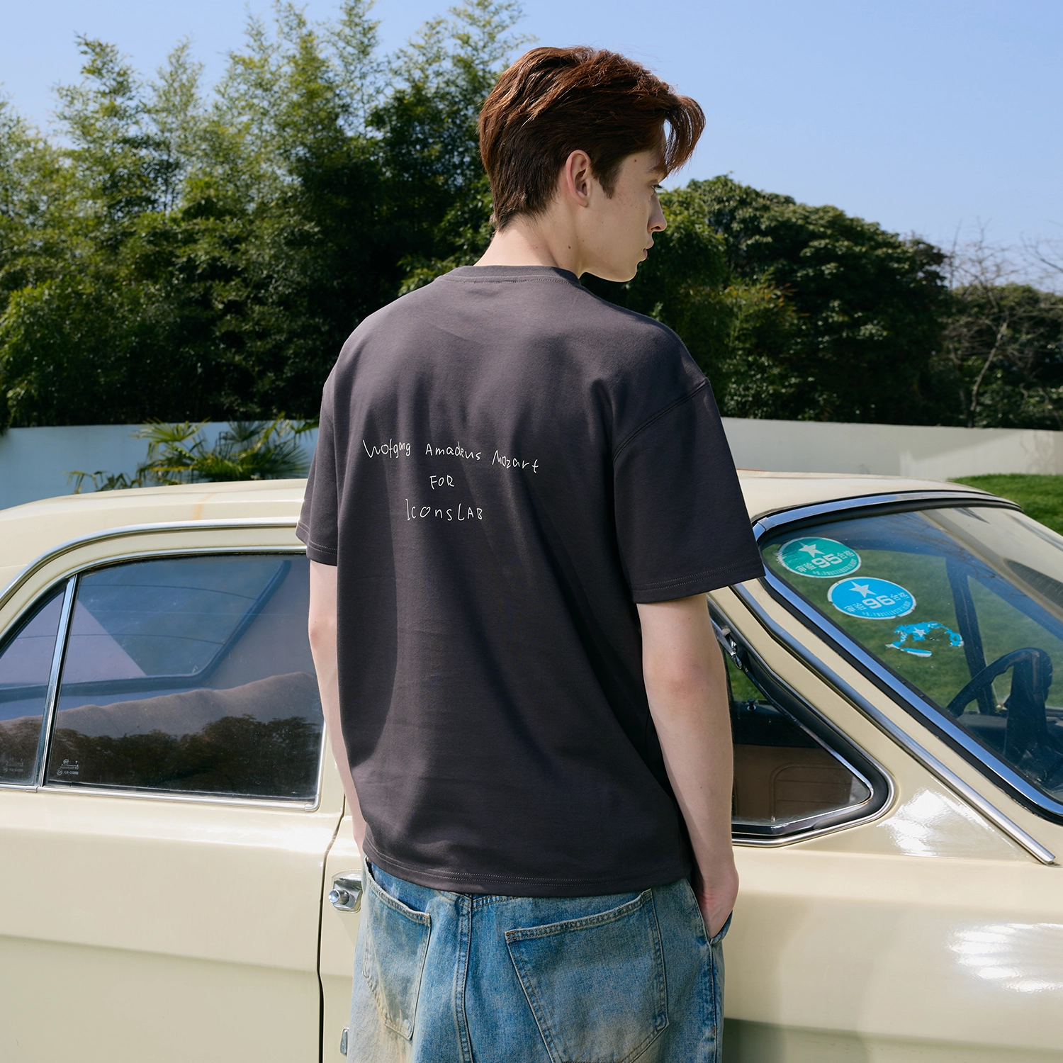 ICONS Lab T