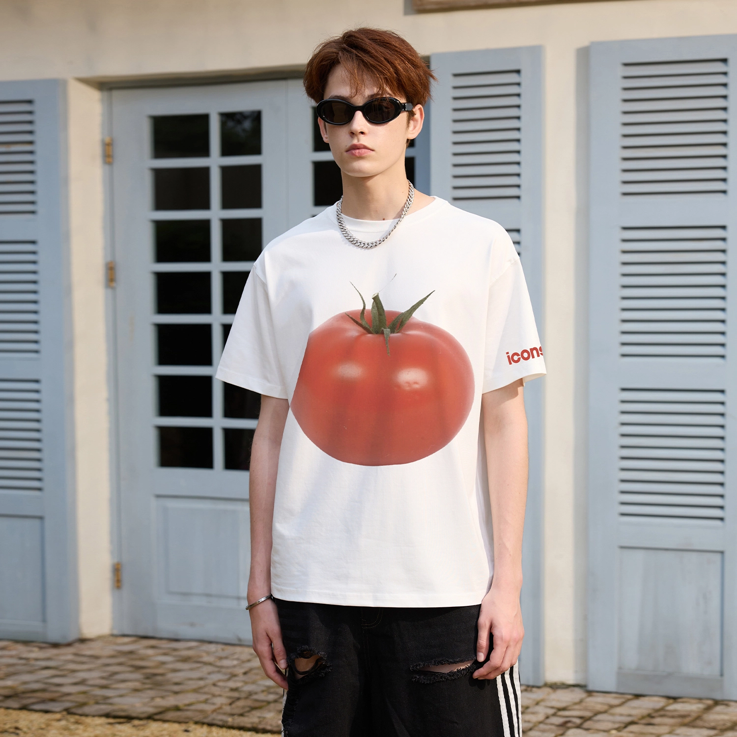 ICONS Lab T