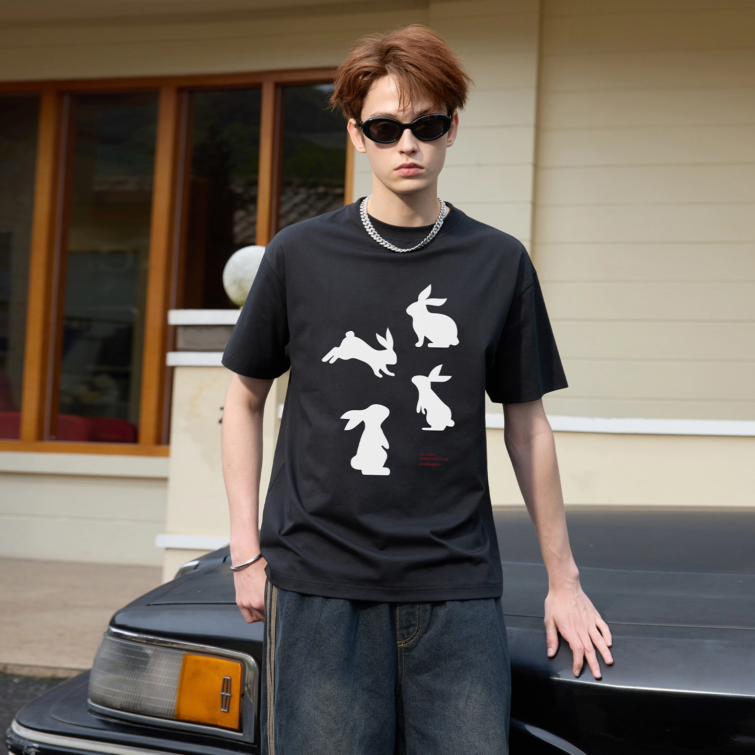 ICONS Lab T