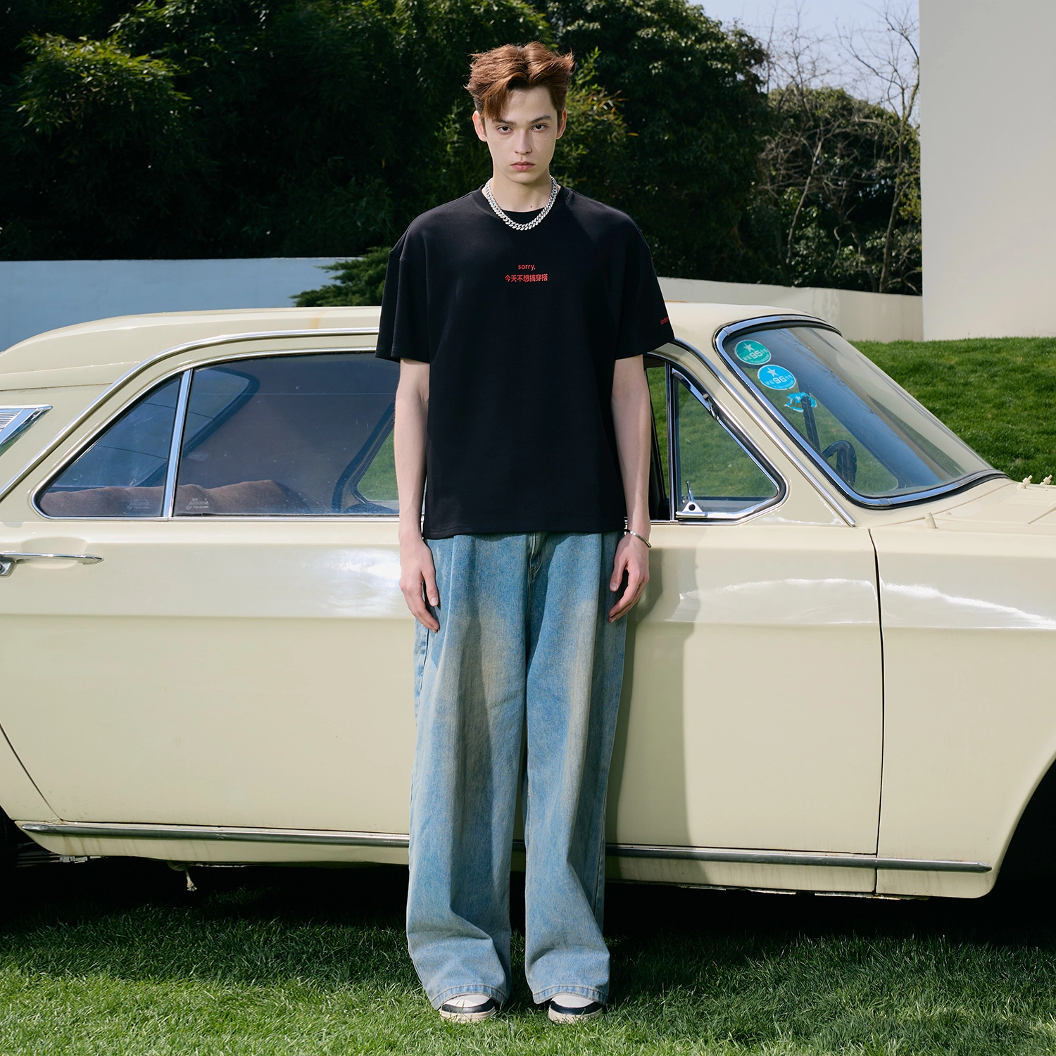 ICONS Lab T