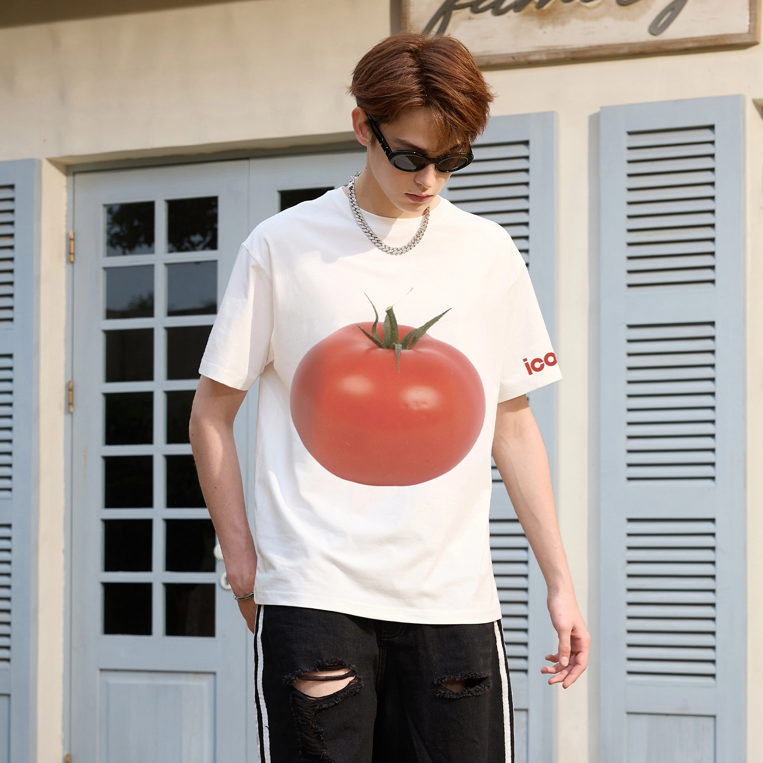 ICONS Lab T