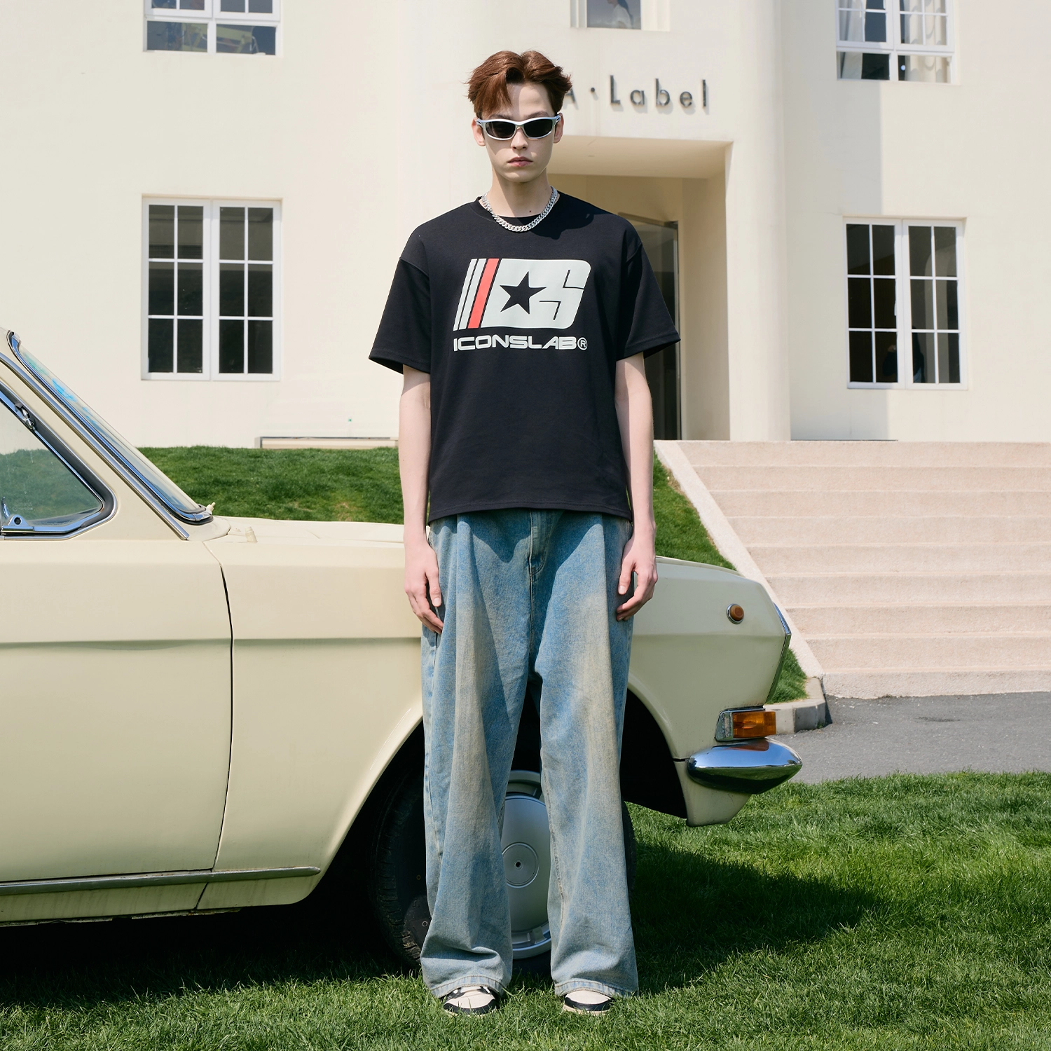 ICONS Lab T