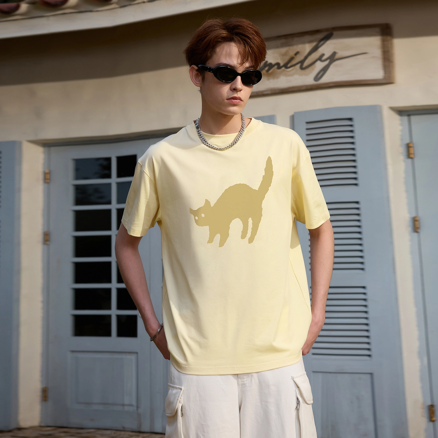 ICONS Lab T