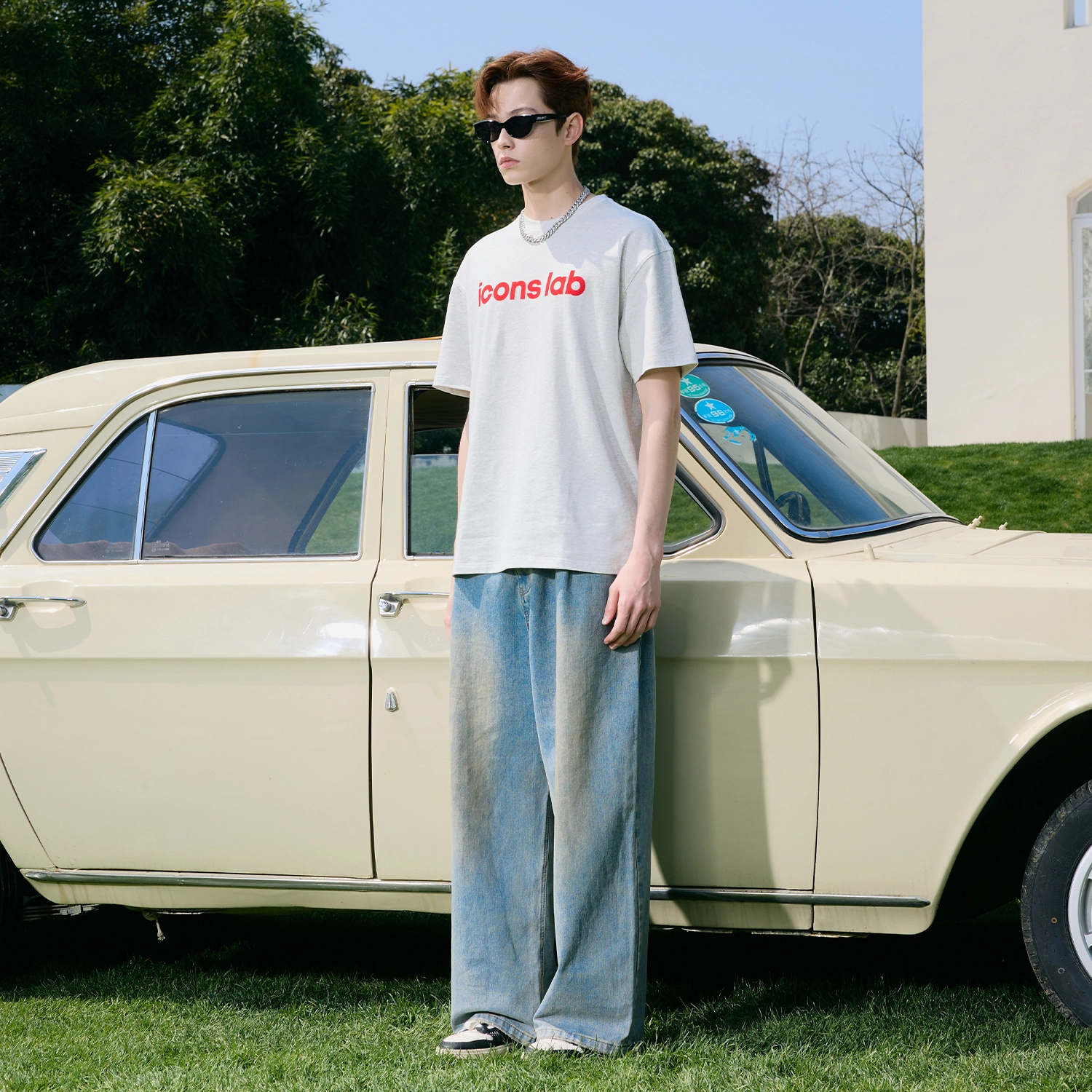 ICONS Lab T