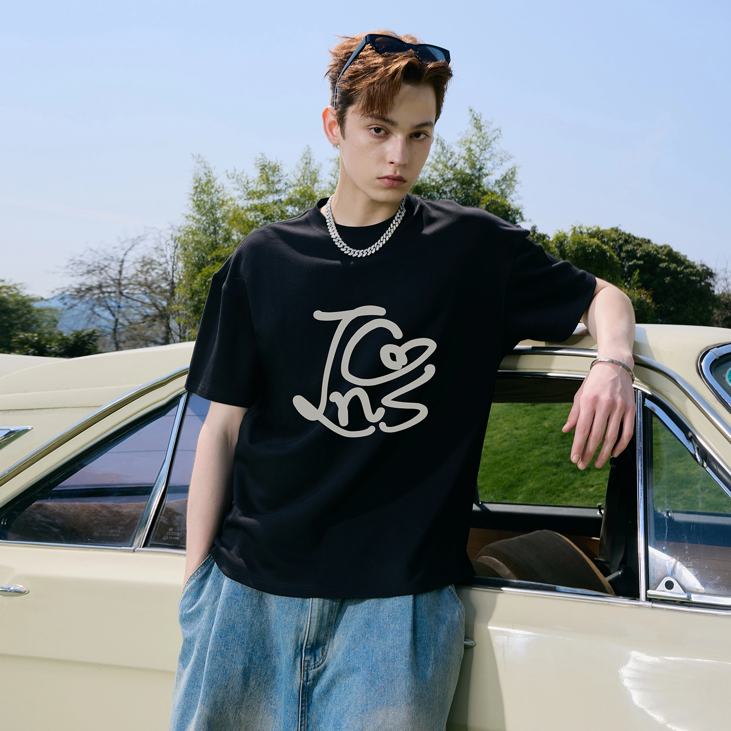 ICONS Lab T