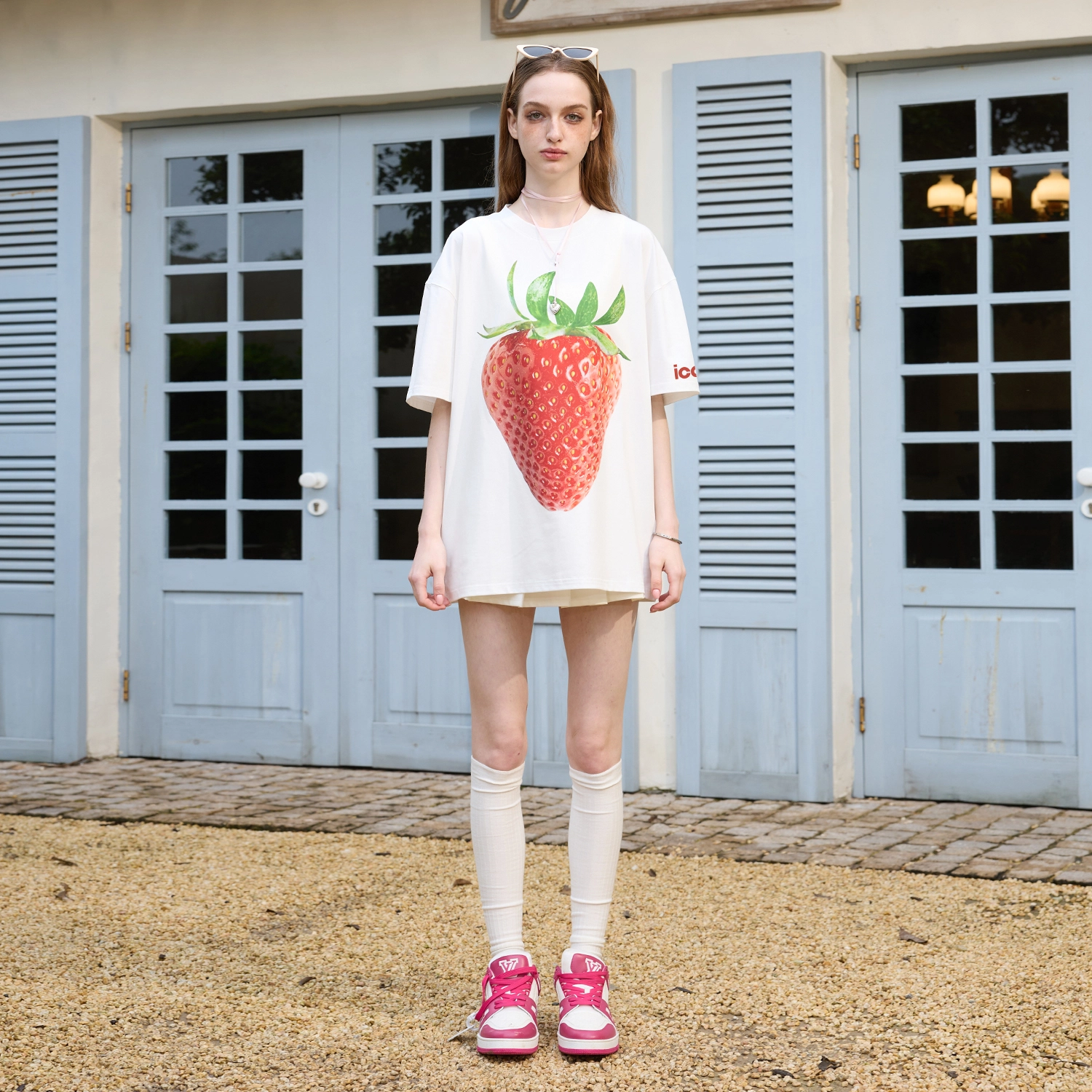 ICONS Lab T