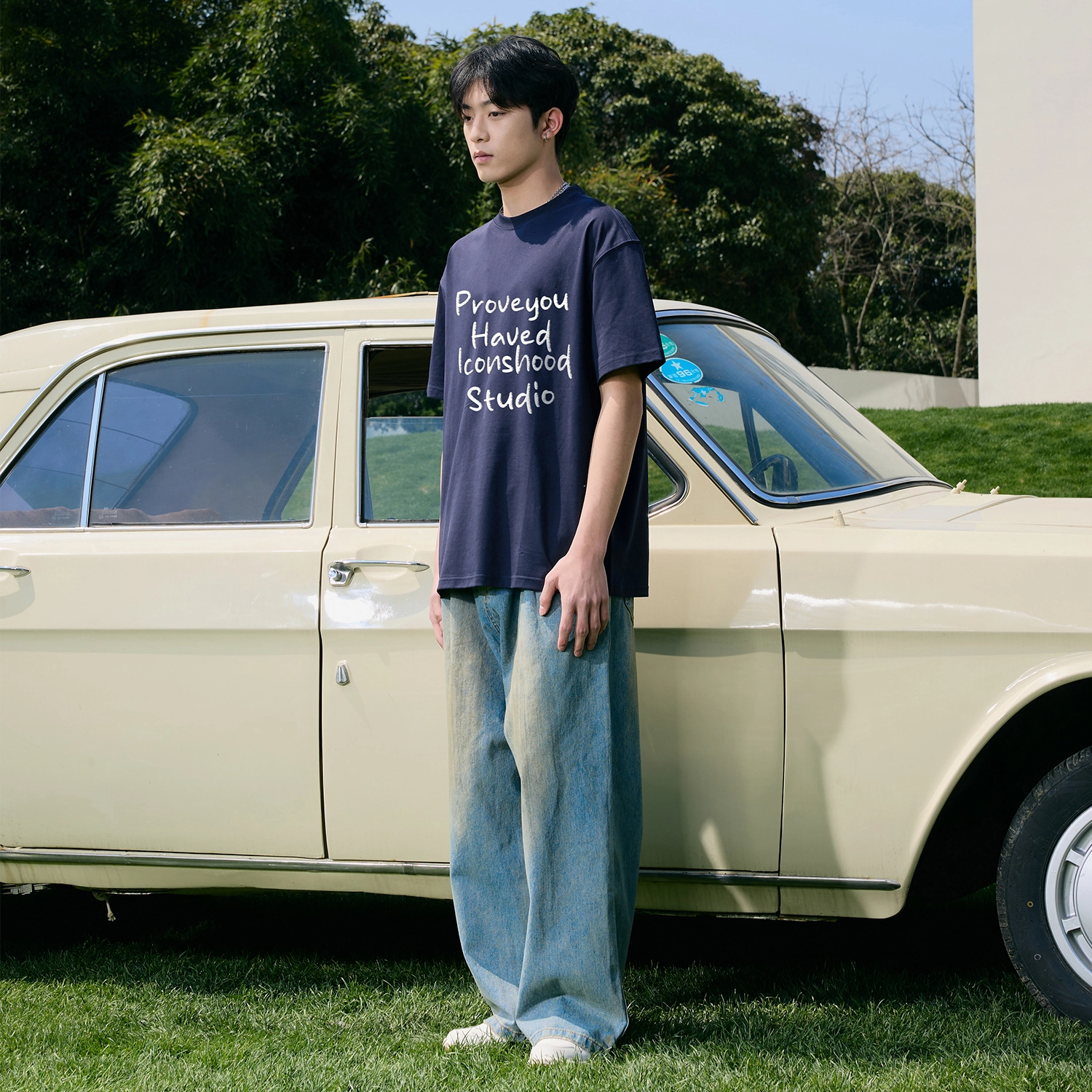 ICONS Lab T