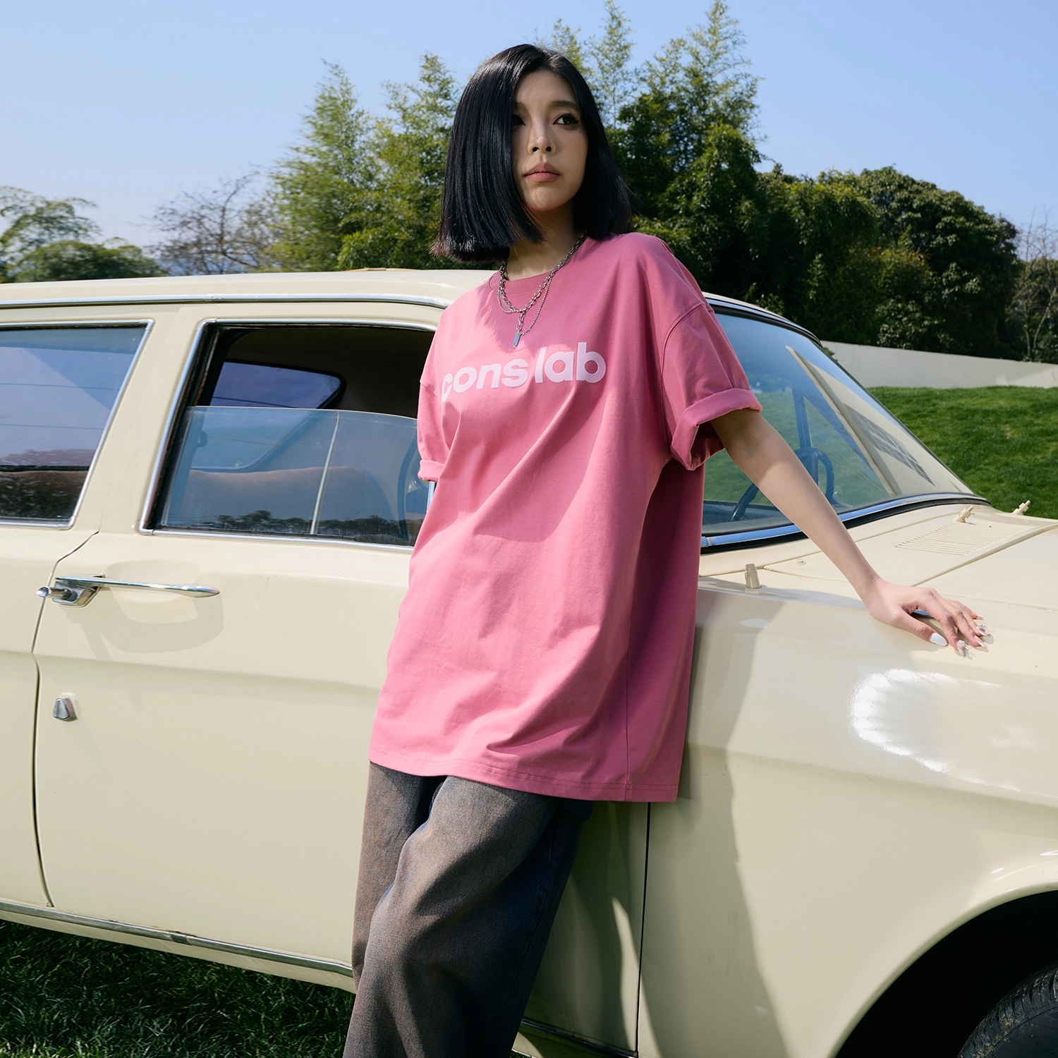 ICONS Lab T