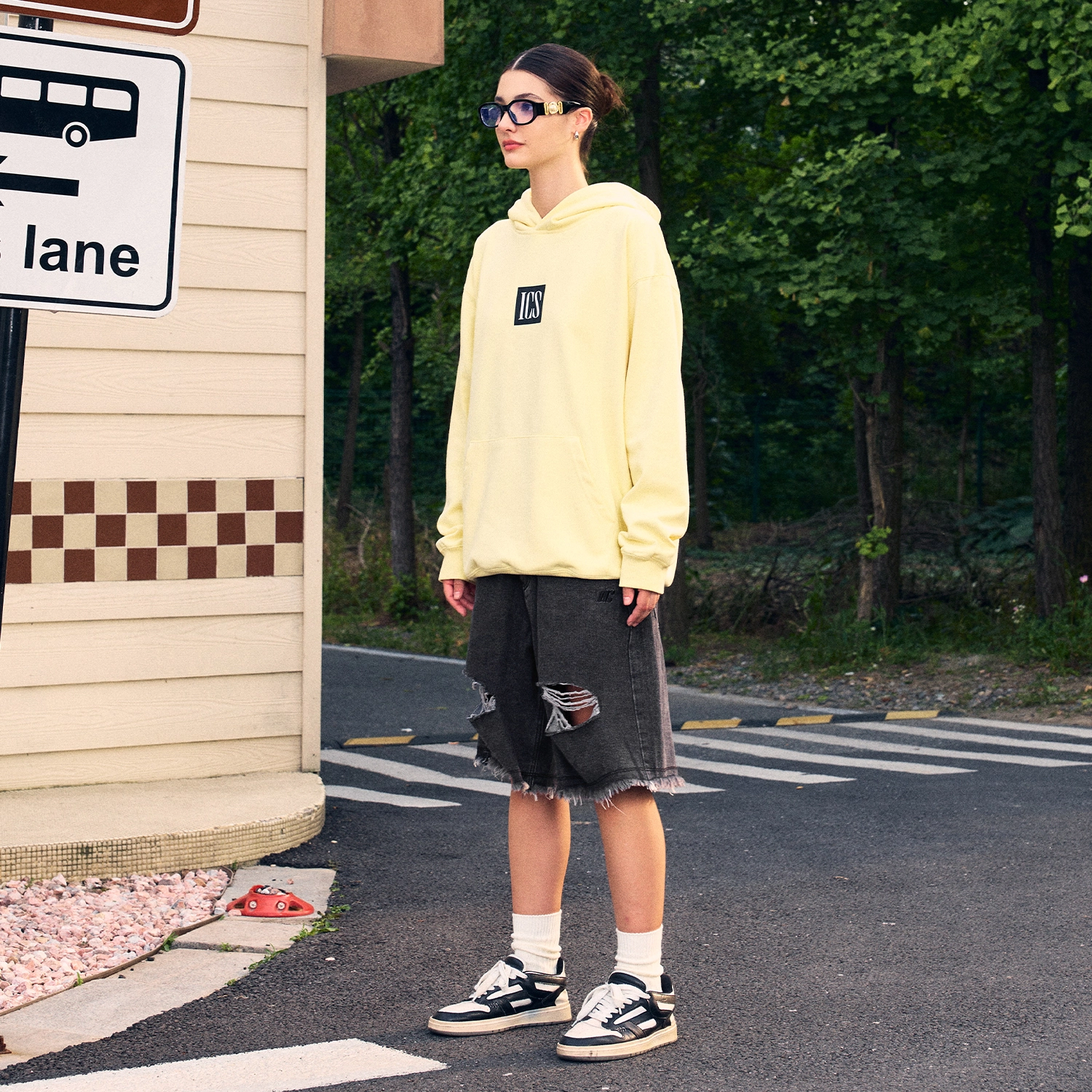 ICONS Lab
