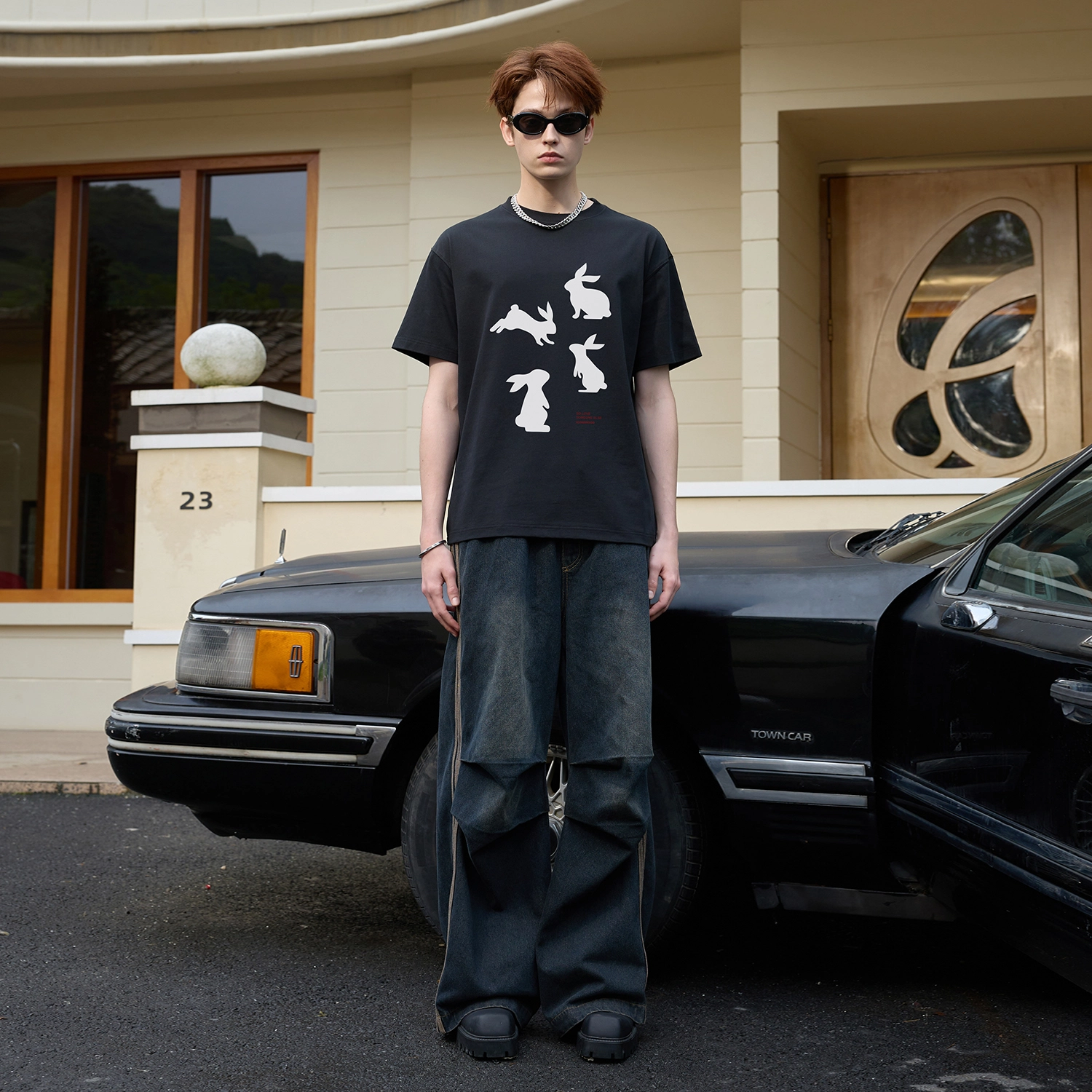 ICONS Lab T
