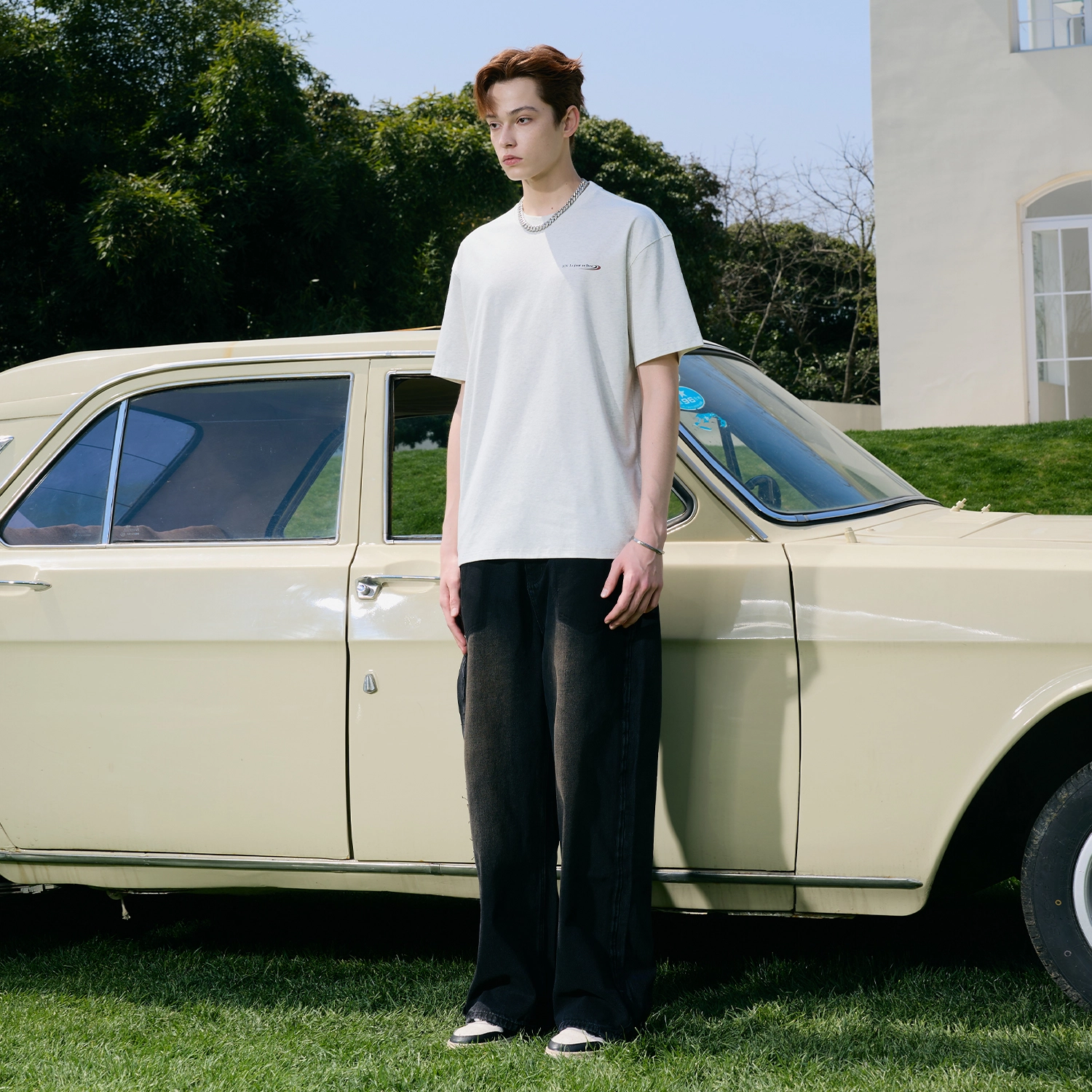 ICONS Lab T