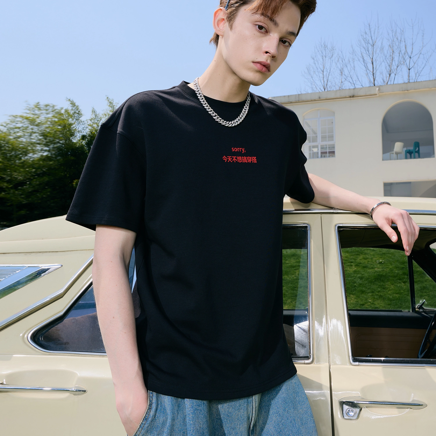 ICONS Lab T