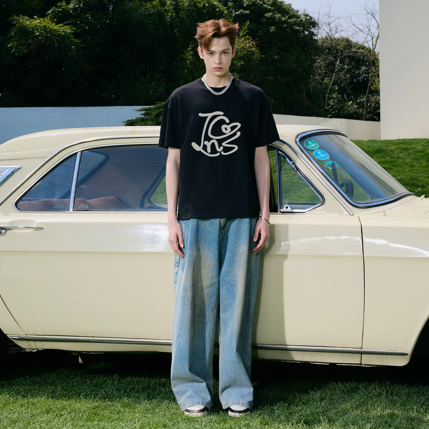 ICONS Lab T