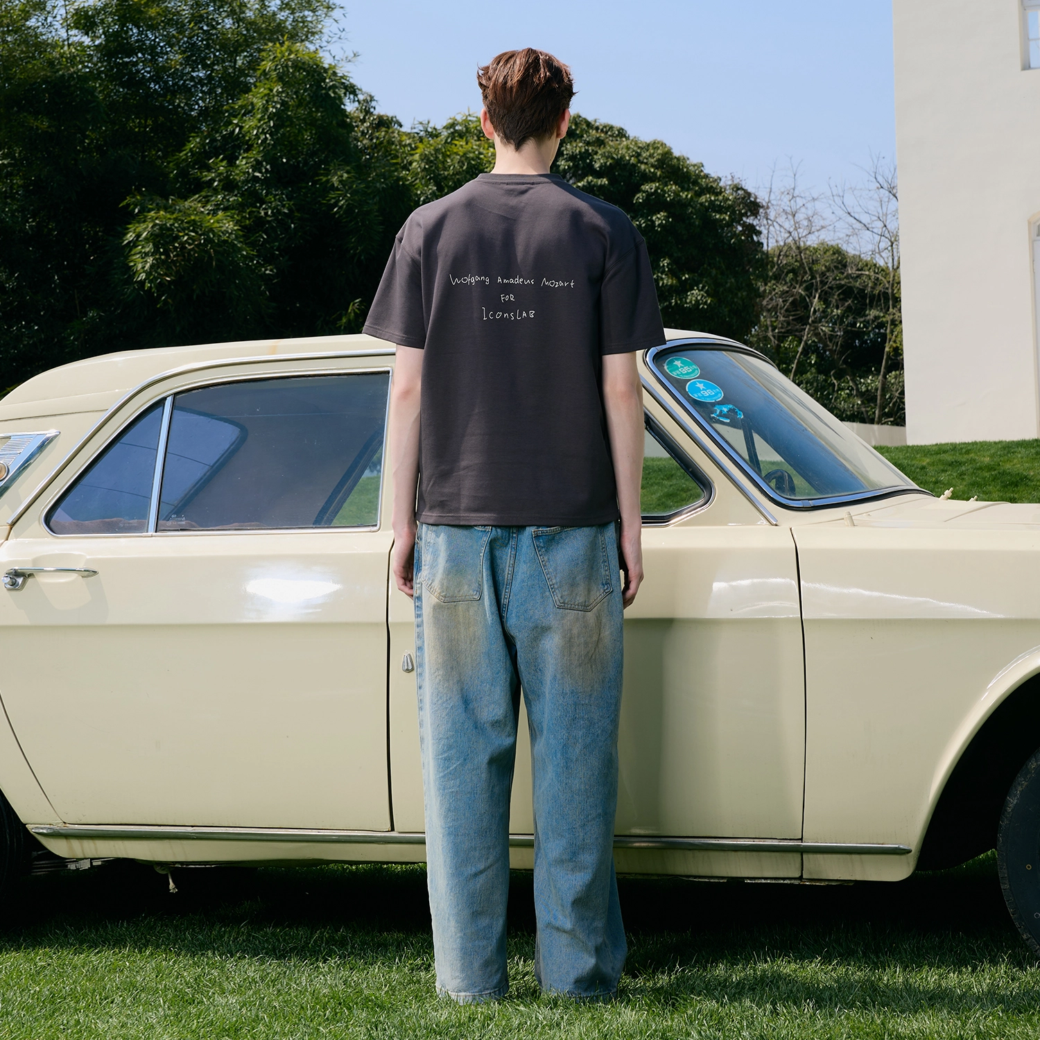 ICONS Lab T