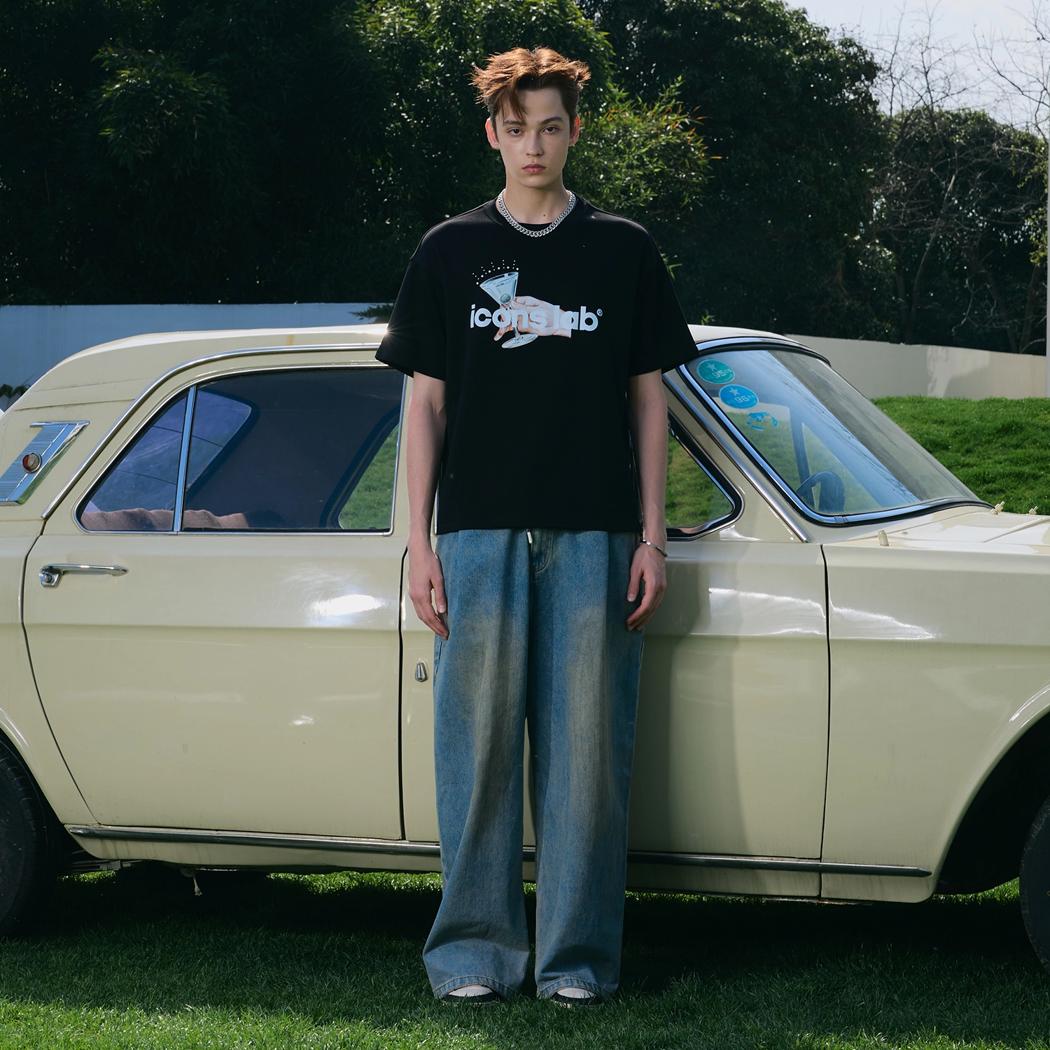 ICONS Lab T