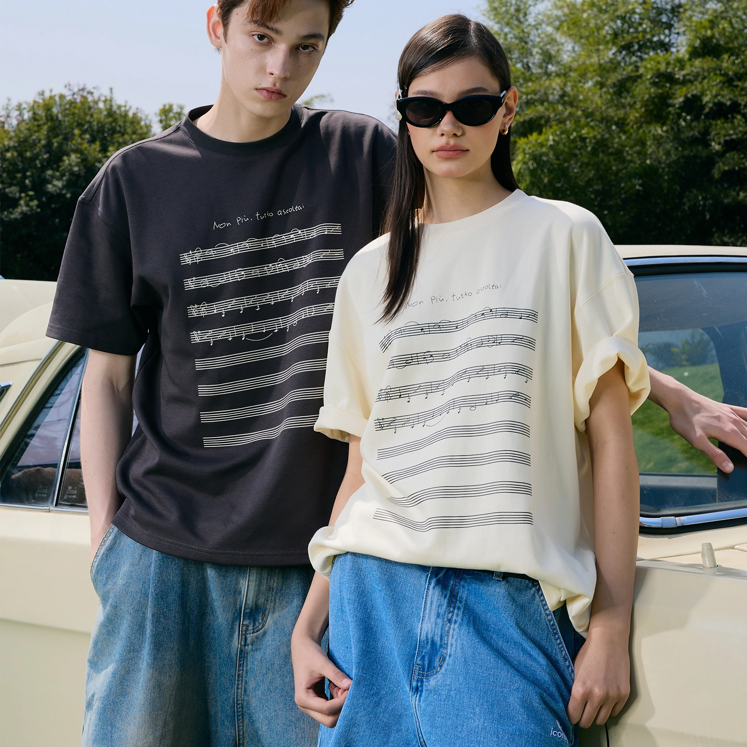 ICONS Lab T
