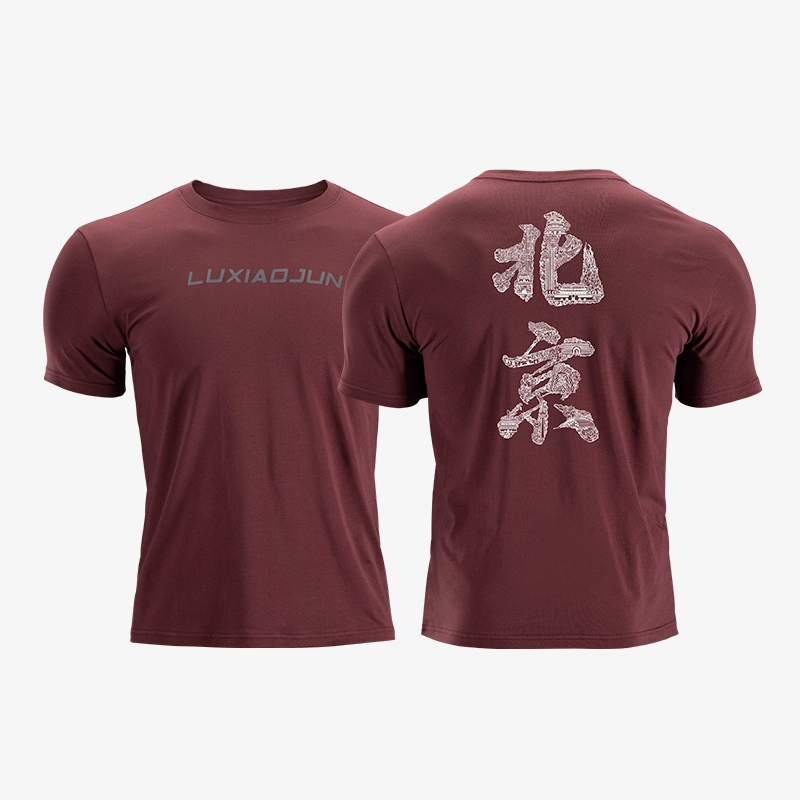LUXIAOJUN T