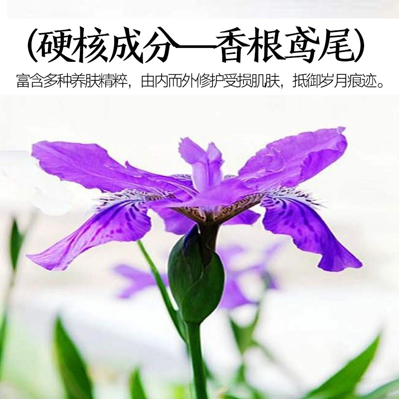 悠莱 奢宠精华水抗皱套装 紧致保湿