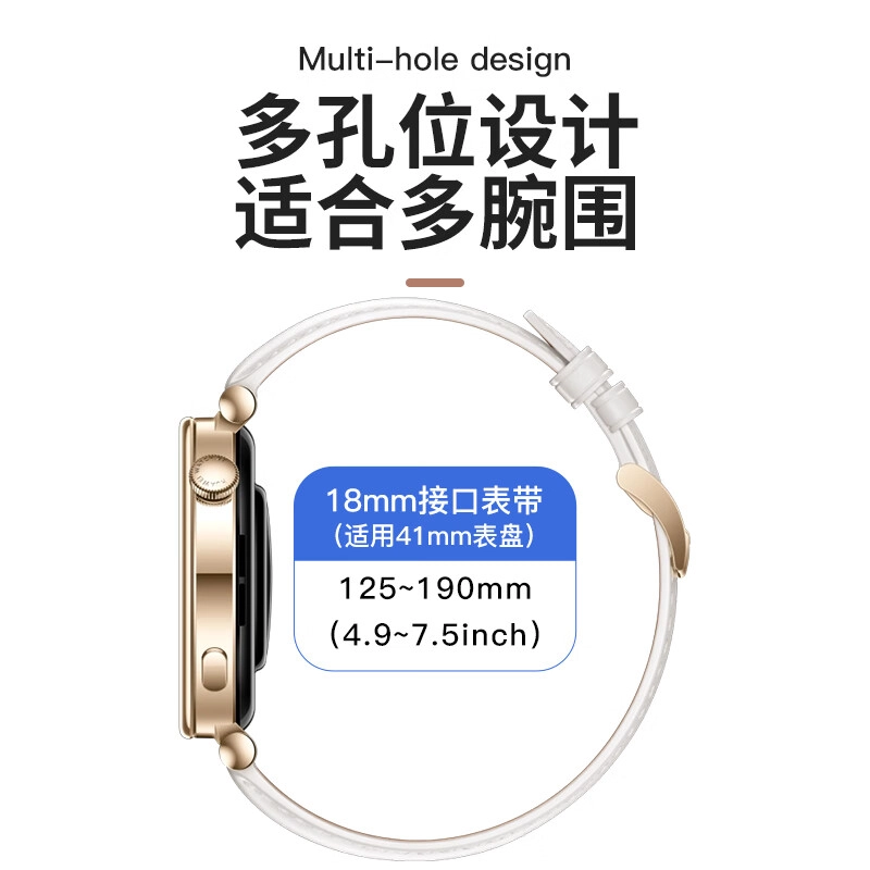 GT4 41MM 18MM Watch gt4