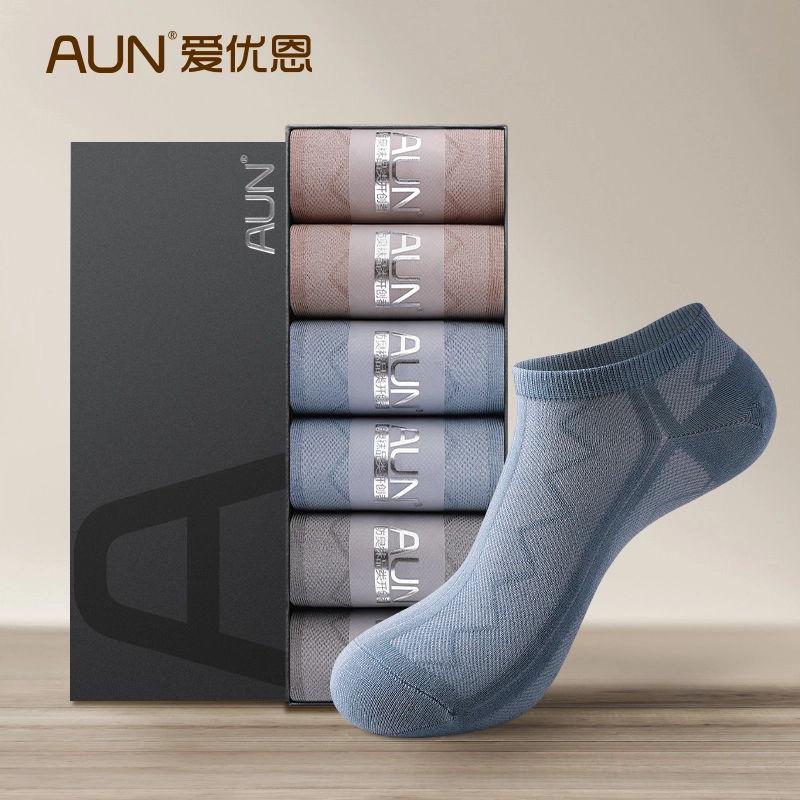 AUN 6