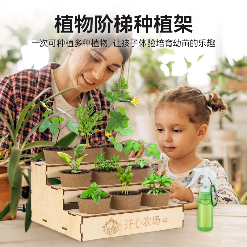 小牧马 阳光房种植 儿童科学实验套装 植物生长观察 玩具