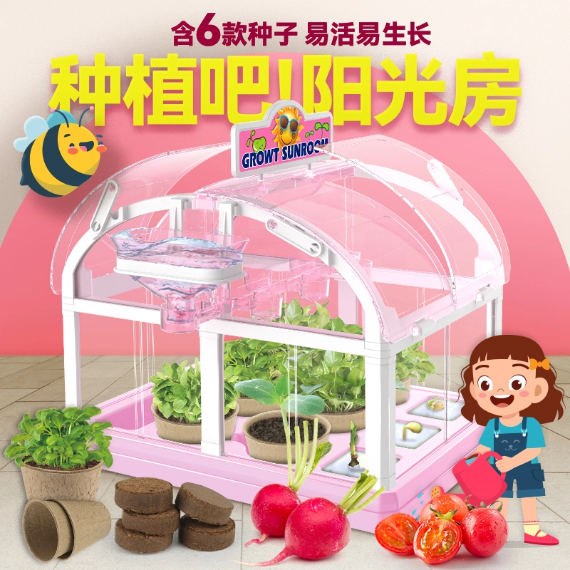 小牧马 阳光房种植 儿童科学实验套装 植物生长观察 玩具