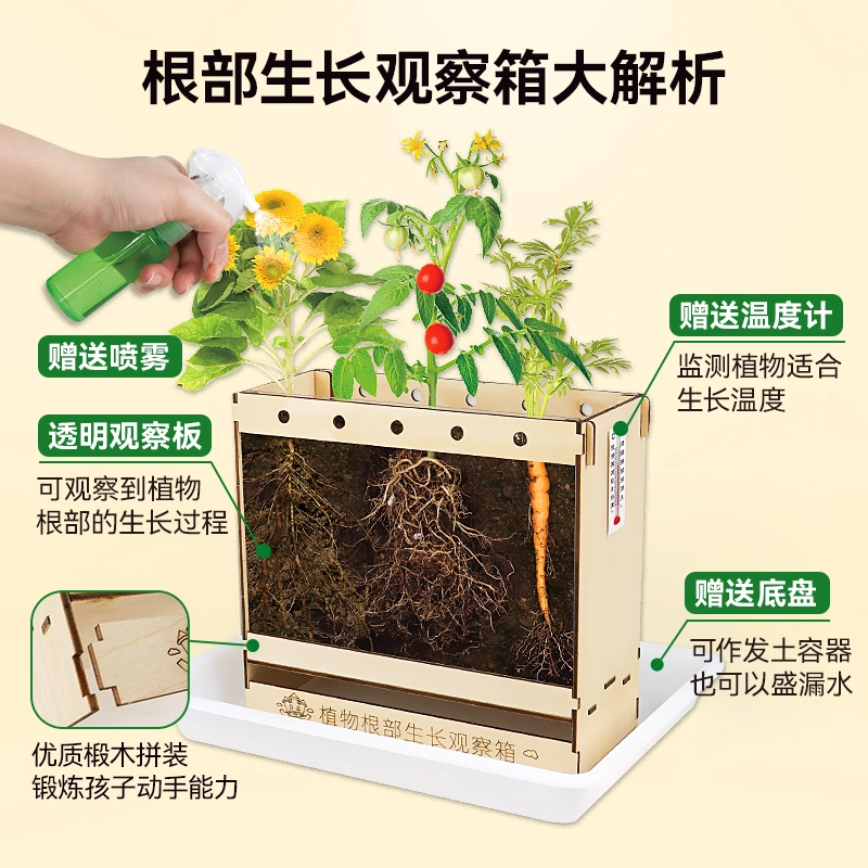 小牧马 阳光房种植 儿童科学实验套装 植物生长观察 玩具