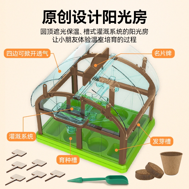 小牧马 阳光房种植 儿童科学实验套装 植物生长观察 玩具