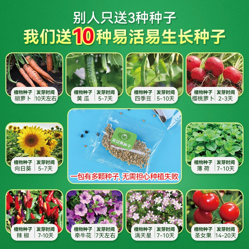 小牧马 阳光房种植 儿童科学实验套装 植物生长观察 玩具