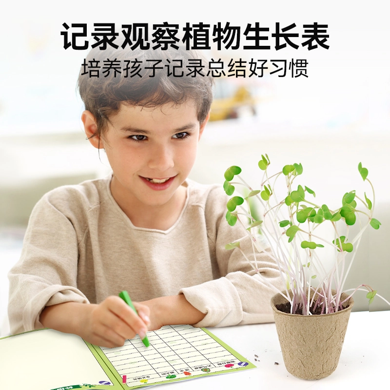 小牧马 阳光房种植 儿童科学实验套装 植物生长观察 玩具
