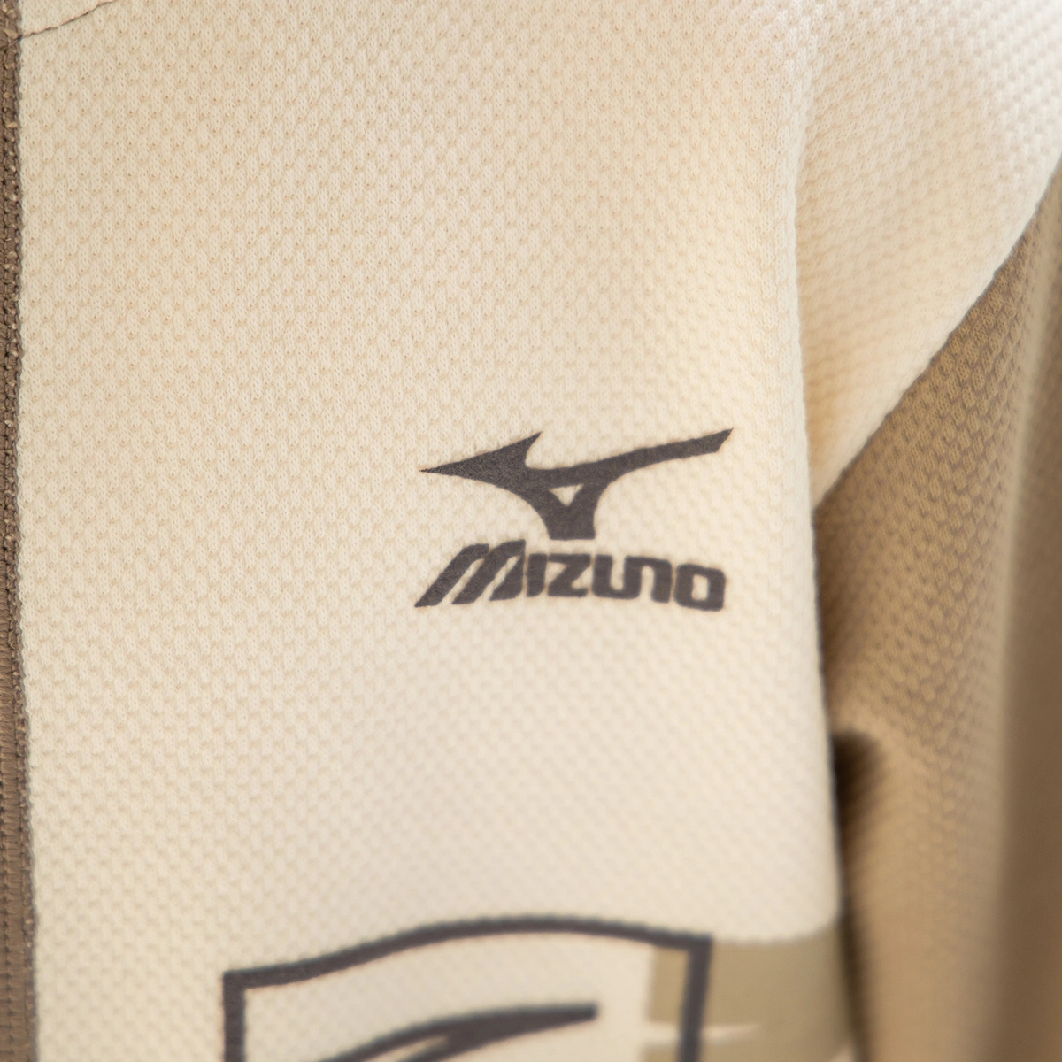 Mizuno