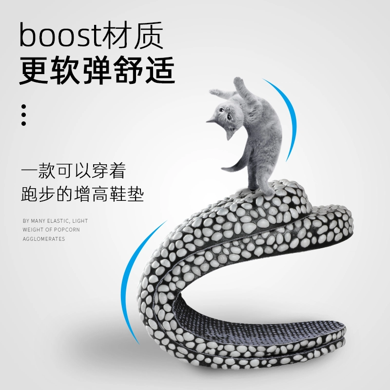 BOOST