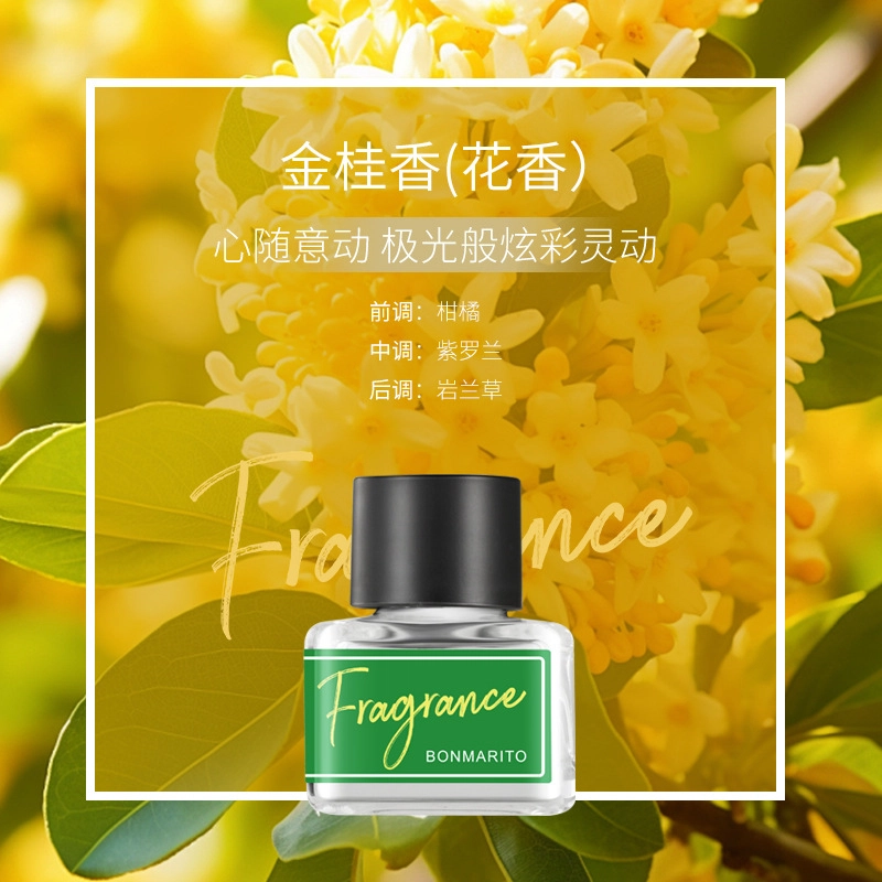 GECOMO EDT