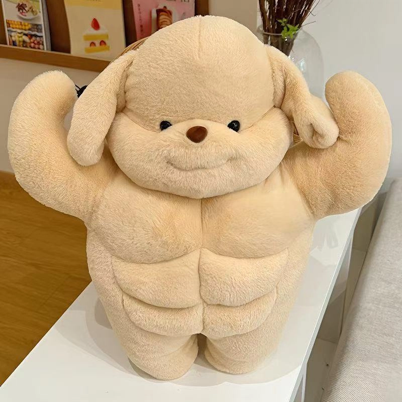 35cm50cm
