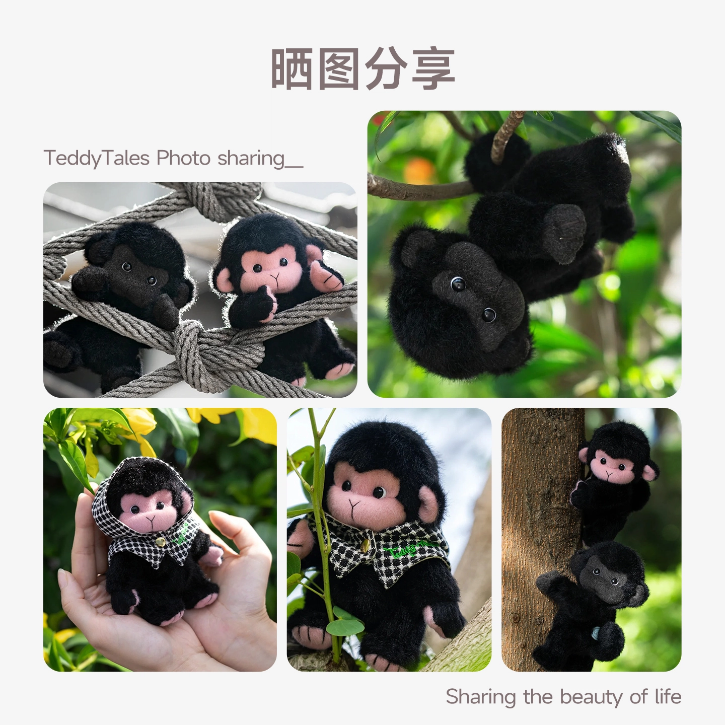 TeddyTales 12cm